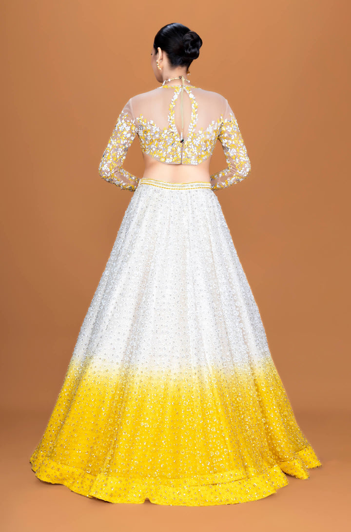 Arizona - NSL FASHION PVT LTD