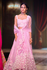 Chand Chhupa Lehenga by Neeta Lulla view 5