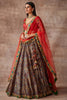 Bahar- Kalam ki chamak lehenga set- Multicolored