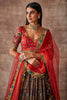 Bahar- Kalam ki chamak lehenga set- Multicolored