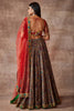 Bahar- Kalam ki chamak lehenga set- Multicolored